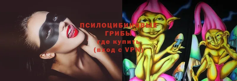 Галлюциногенные грибы Magic Shrooms  где можно купить   Анадырь 